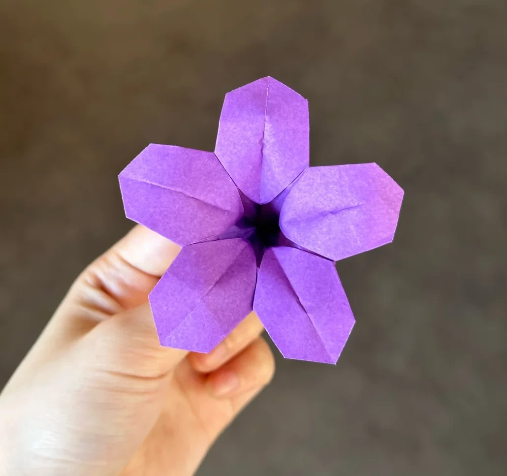 Finished Five-Petal Purple Cup Flower