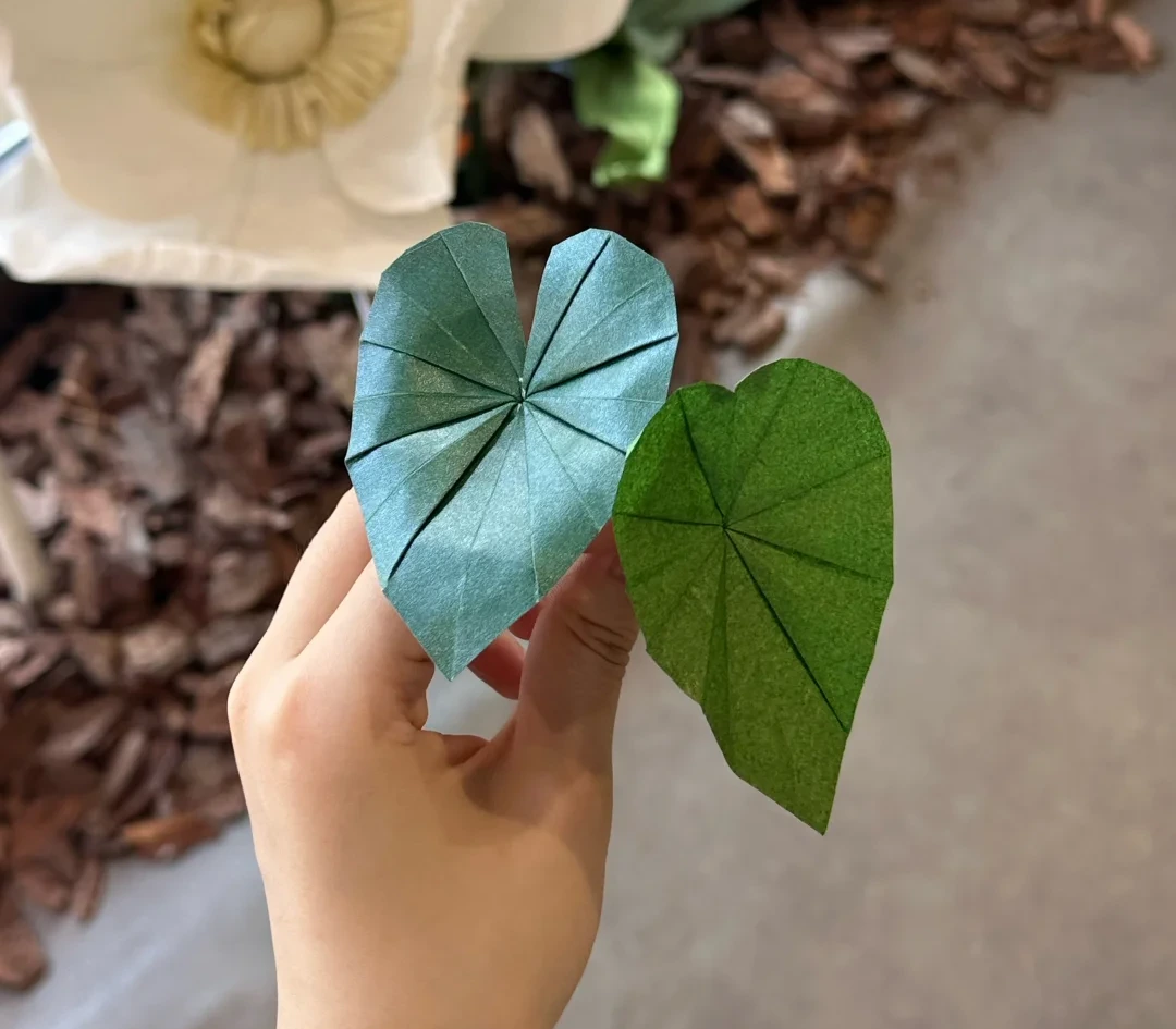 Finished Pleated Pothos Leaf