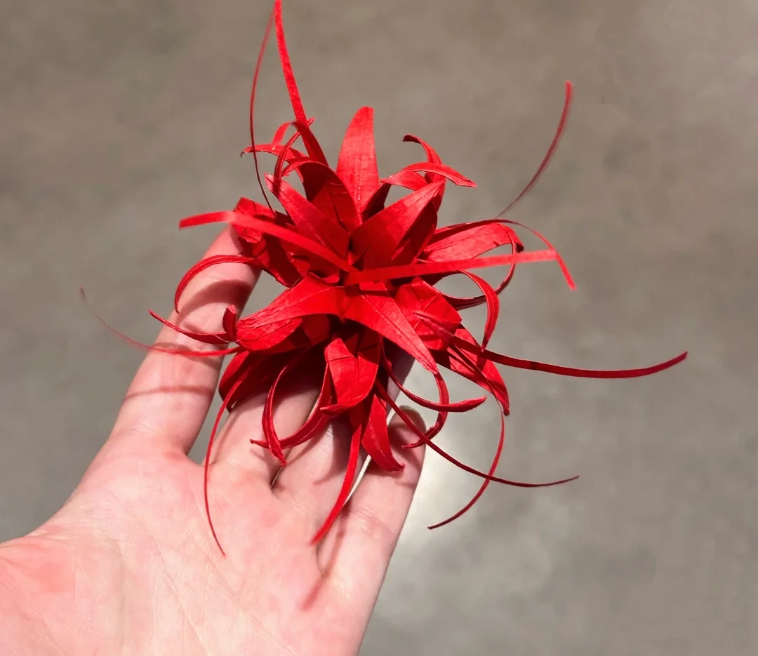 Finished Seven-Unit Spider Lily
